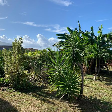 Gite Face A La Mer Des Caraibes Sainte-Rose Exterior photo